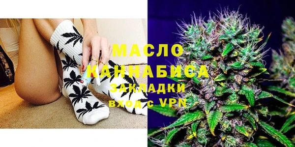молекула духа Осташков