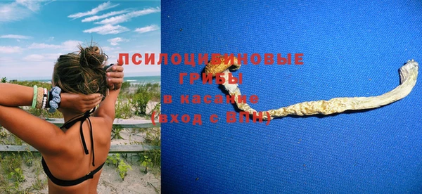 винт Пестово