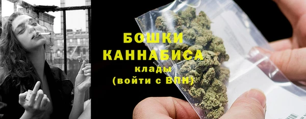 молекула духа Осташков
