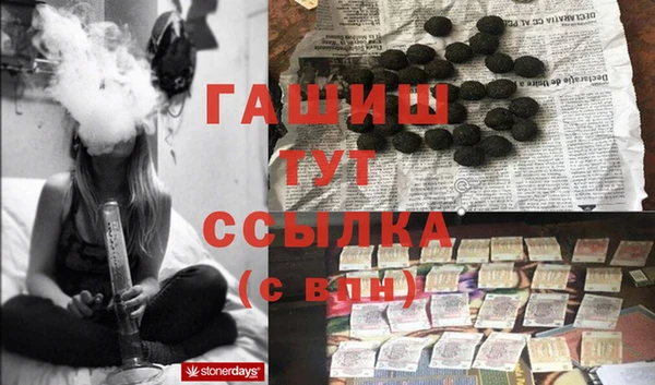 молекула духа Осташков