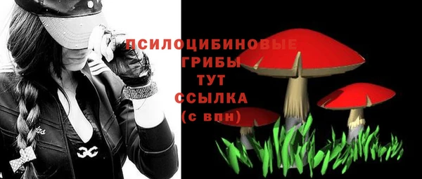 молекула духа Осташков