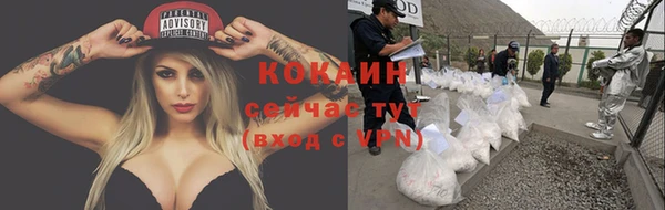 молекула духа Осташков