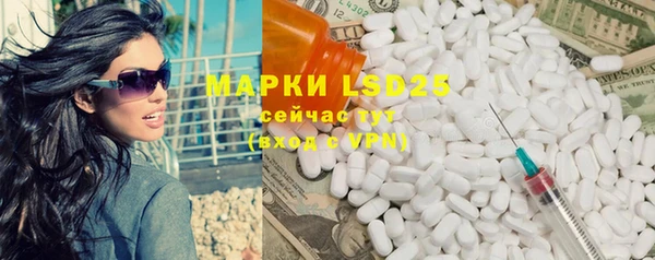 молекула духа Осташков