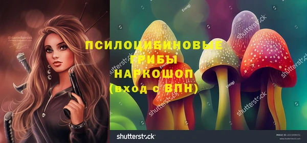 соль курить ск Остров
