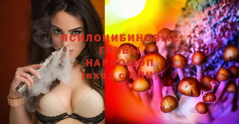 ссылка на мегу как зайти  Большой Камень  Псилоцибиновые грибы Cubensis 