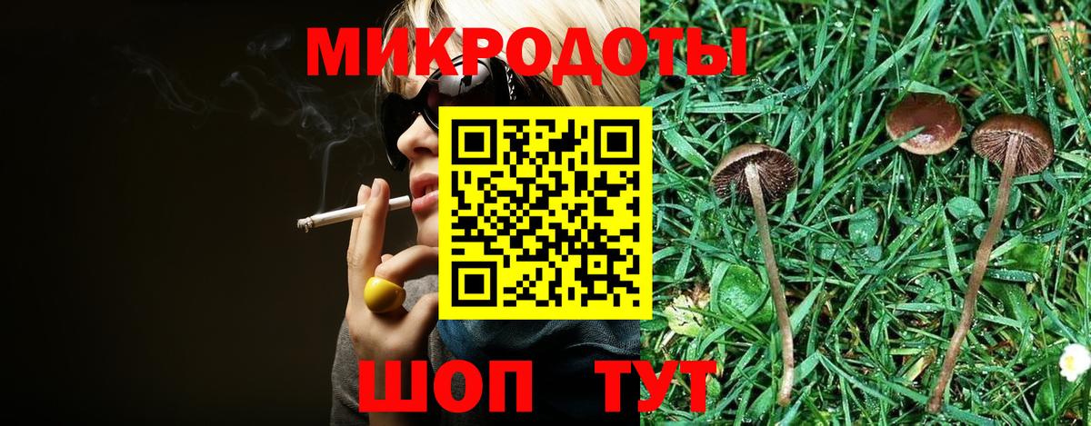 Псилоцибиновые грибы мухоморы Большой Камень
