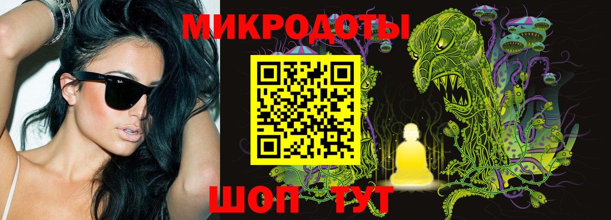 Галлюциногенные грибы GOLDEN TEACHER  Галлюциногенные грибы Cubensis  Большой Камень 