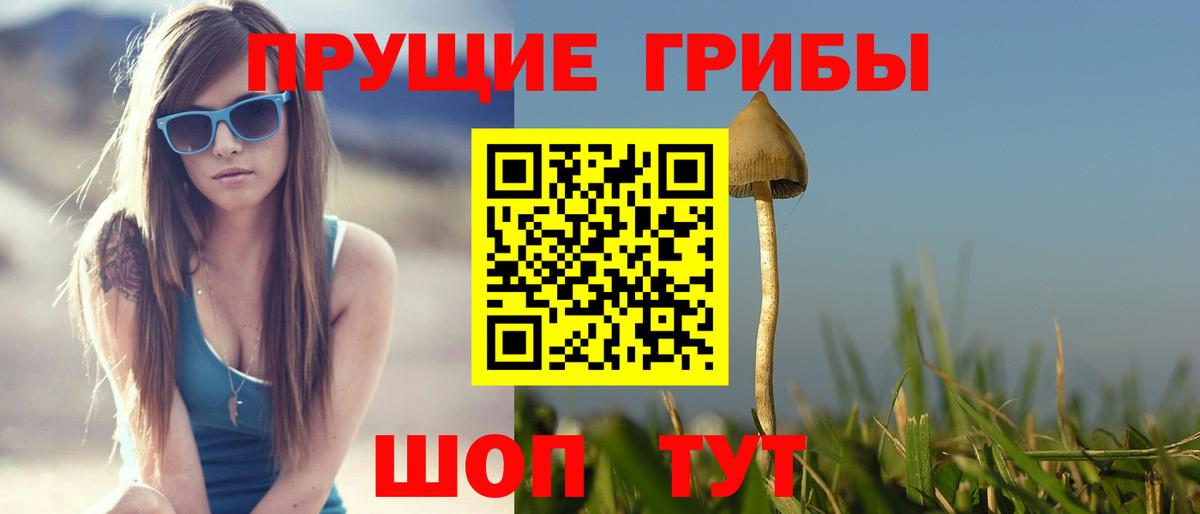Псилоцибиновые грибы Magic Shrooms  Галлюциногенные грибы GOLDEN TEACHER  Большой Камень  Вход с VPN 