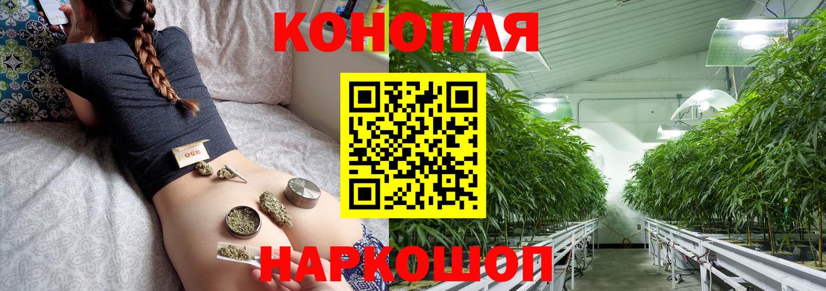 Канабис OG Kush Большой Камень